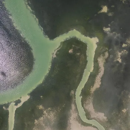 Ionian Memories Yénion